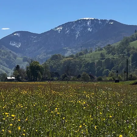Gaestezimmer * Münstertal