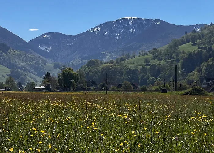 Gaestezimmer * Münstertal